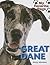 Great Dane (My Favorite Dogs)