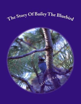 The Story Of Bailey The Bluebird (Paperback)