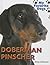 Doberman Pinscher (My Favorite Dogs)