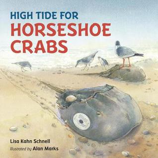 High Tide for Horseshoe Crabs (Hardcover)