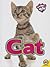 Cat (Caring for My Pet)