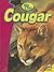 Cougar (Big Cats)