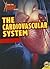 The Cardiovascular System