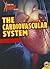 The Cardiovascular System (How the Human Body Works)