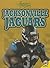 Jacksonville Jaguars (Inside the NFL)