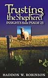 Trusting the Shepherd: Insights from Psalm 23