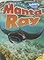 Manta Ray (Giants of the Ocean)