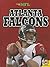 Atlanta Falcons by Zach Wyner
