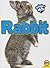 Rabbit (Caring for My Pet)