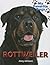 Rottweiler (My Favorite Dogs)
