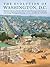 The Evolution of Washington, DC by James M. Goode