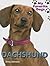 Dachshund (My Favorite Dogs)