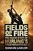 Fields of Fire: The Inside Story of Hurling's Great Renaissance