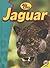 Jaguar (Big Cats)