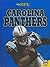 Carolina Panthers by Zach Wyner
