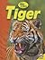 Tiger (Big Cats)