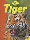Tiger (Big Cats)