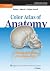Color Atlas of Anatomy by Elke Lutjen-Drecoll and Chi... Color Atlas of Anatomy by Elke Lutjen-Drecoll and Chi...