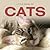 Cats (Little Books)