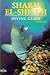 Diving Guide to Sharm-El-Sheik