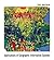 ESRI Map Book: Applications...