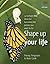 Shape Up Your Life by Penny Ferguson
