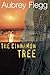 The Cinnamon Tree by Aubrey Flegg
