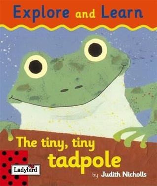 The Tiny Tiny Tadpole (Hardcover)