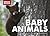Baby Animals (Brick Books)