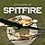 Spitfire (Little Books)