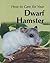 How To Care For Your Dwarf Hamster