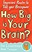 How Big is Your Brain?: Ingenious Puzzles to Test Your Brainpower