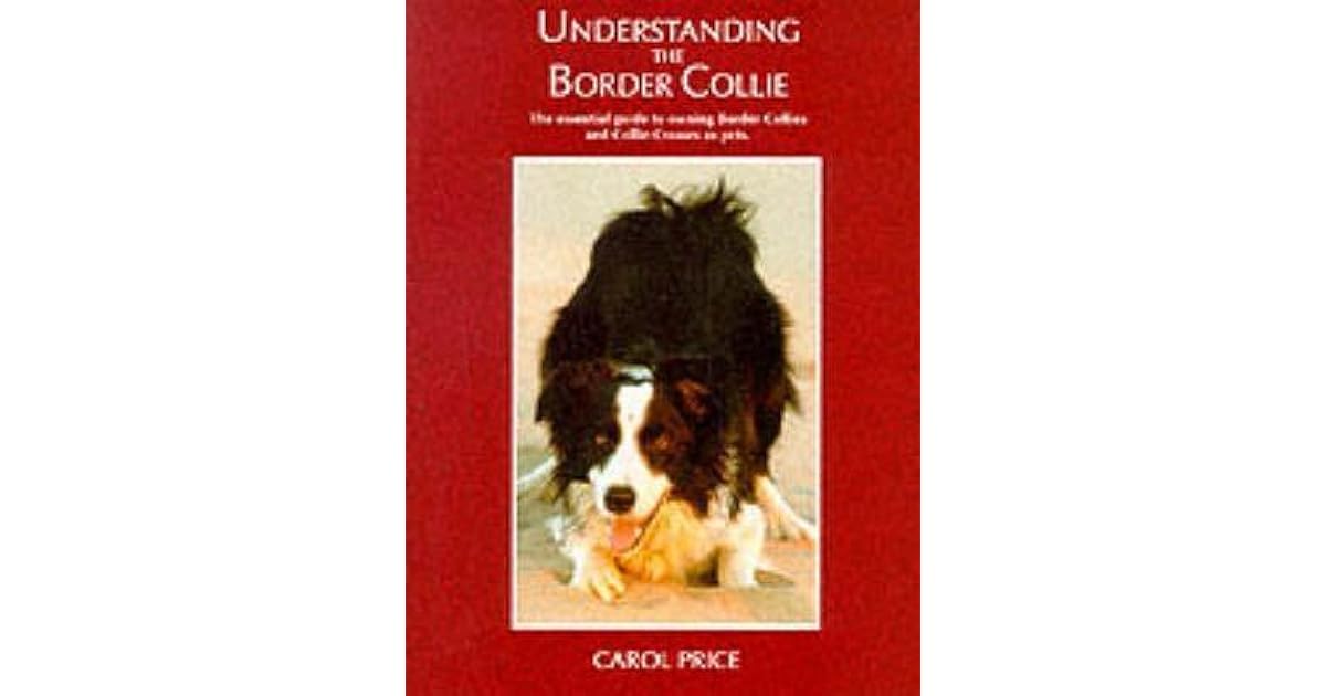 carol price border collie