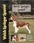 Welsh Springer Spaniel by Haja Van Wessem