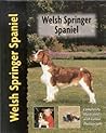 Welsh Springer Spaniel