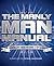 The Manly Man Manual