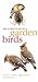 Mitchell Beazley Pocket Guide to Garden Birds