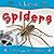 Spiders (I Love)