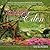 Almost Eden: Designing Gardens In Relation To Creation