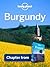 Burgundy: Chapter from France Travel Guide