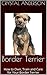Border Terrier: How to Own, Train and Care for Your Border Terrier