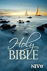 NIV bible: New In...