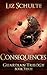 Consequences by Liz Schulte