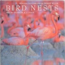 Bird Nests (Hardcover)
