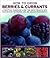 How to Grow Berries & Currants
