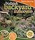 Budget Backyard Makeovers (Birds & Blooms) (Birds & Blooms)
