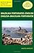 Hippocrene Concise Brazilian Portuguese-English: English-Brazilian Portuguese (Hippocrene Concise Dictionary)