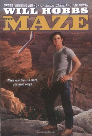 The Maze (Paperback)