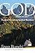 God, Where Are You?: Practical Answers to Spiritual Questions (Voices from the Monastery)