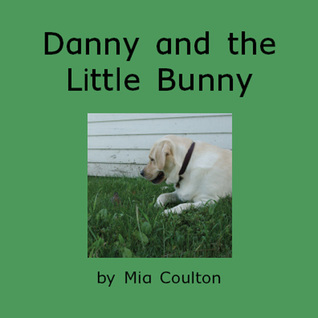Danny and the Little Bunny (Paperback)